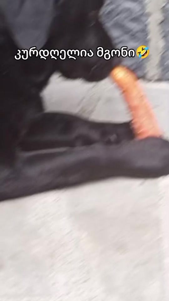 TikTok video thumbnail by vinwilator