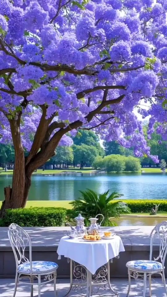 TikTok video thumbnail by user861500588