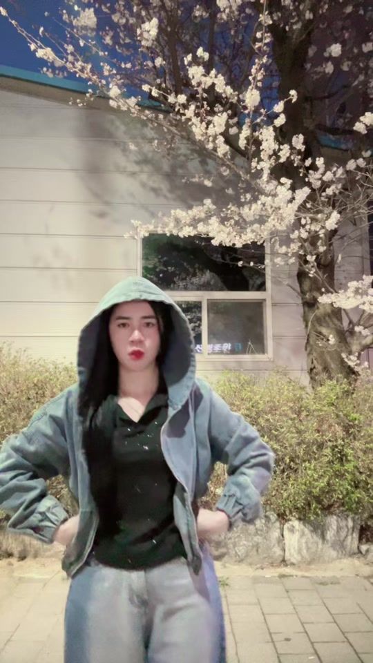 TikTok video thumbnail by lovesinsa1