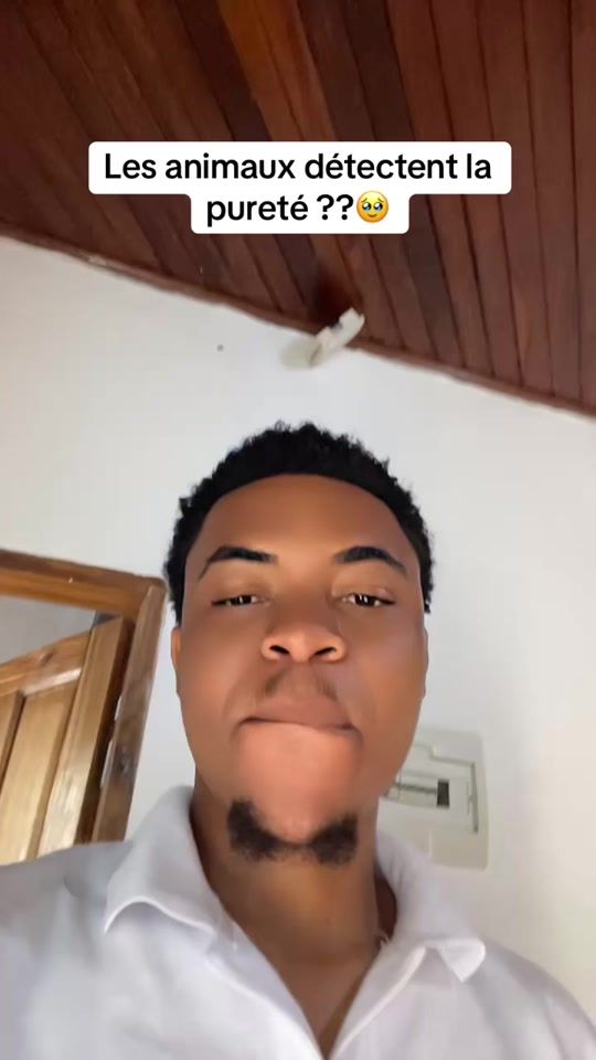 TikTok video thumbnail by yvan_mg