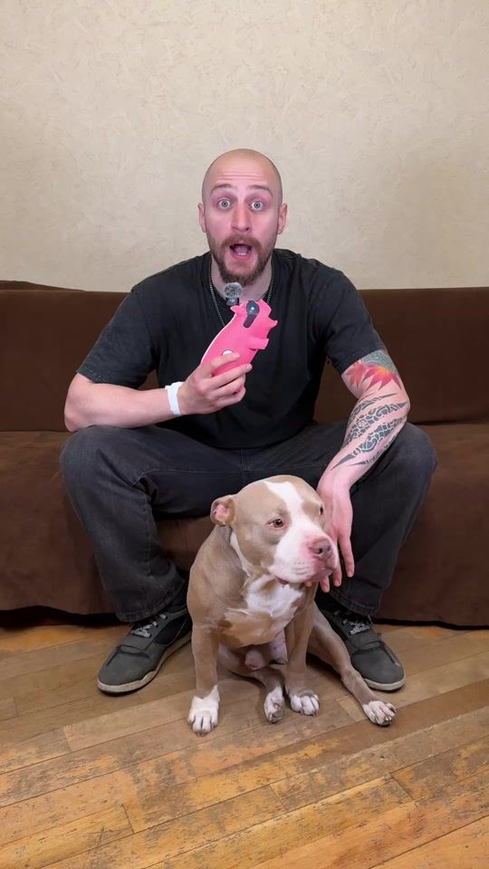 TikTok video thumbnail by david_and_dogs