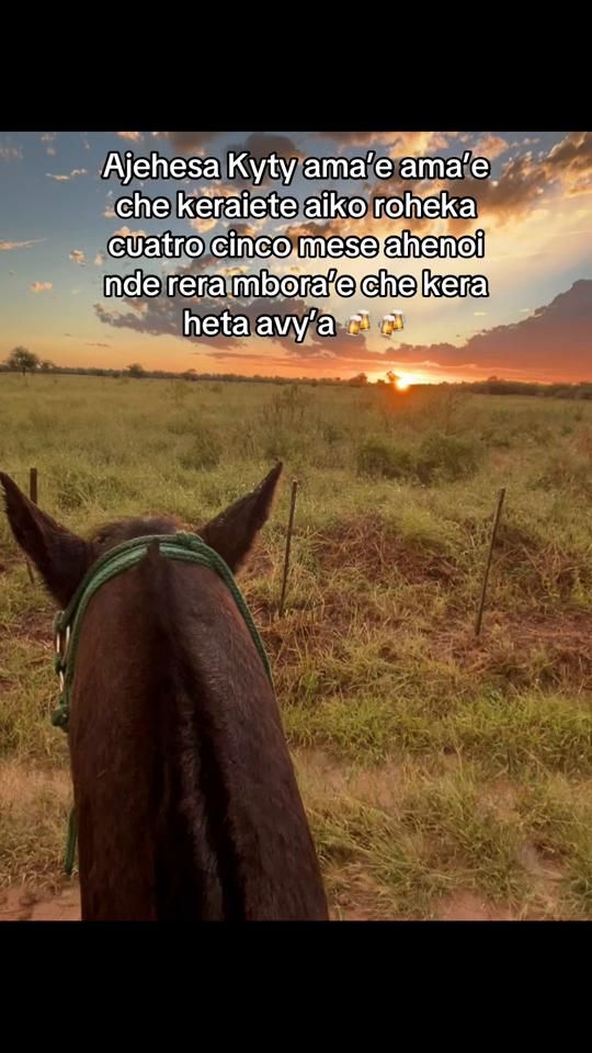 TikTok video thumbnail by javierbenitez012