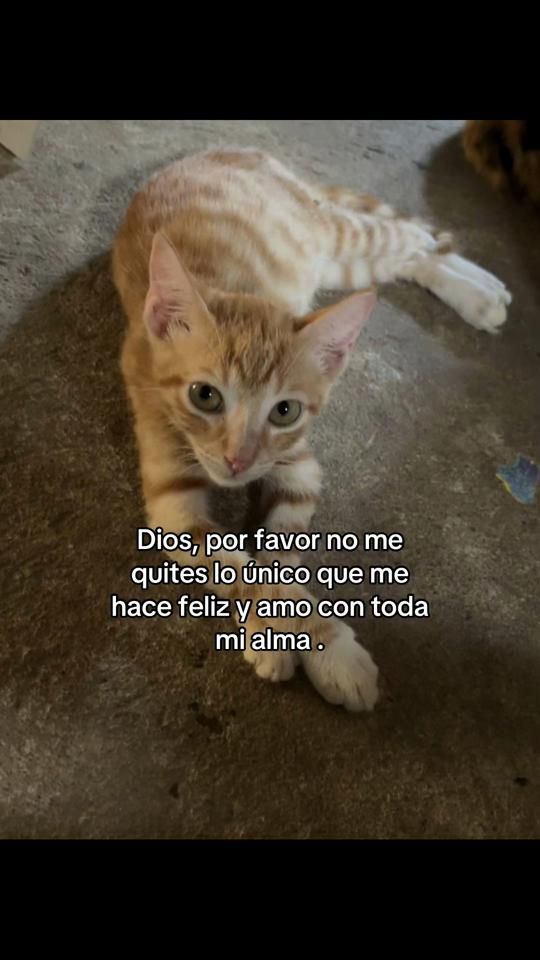 TikTok video thumbnail by luiscb_90