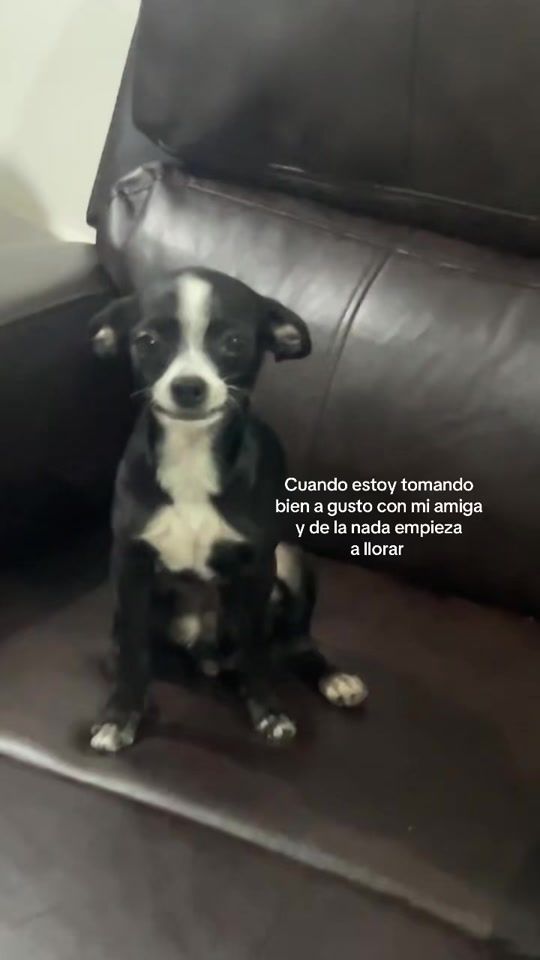TikTok video thumbnail by elen_osor