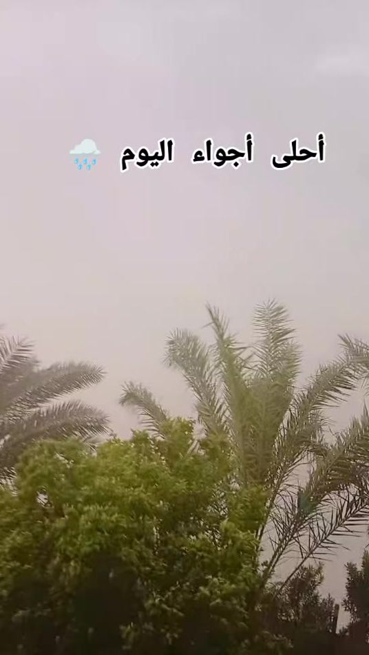 TikTok video thumbnail by bh_.ui