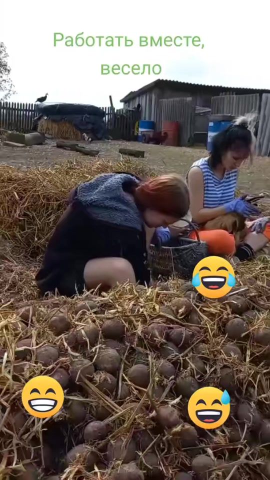 TikTok video thumbnail by irishka10486