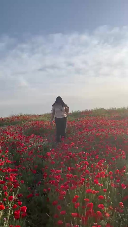 TikTok video thumbnail by ikram.bk55