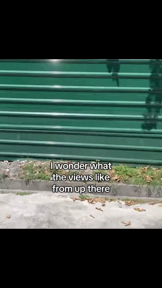 TikTok video thumbnail by jigyar77