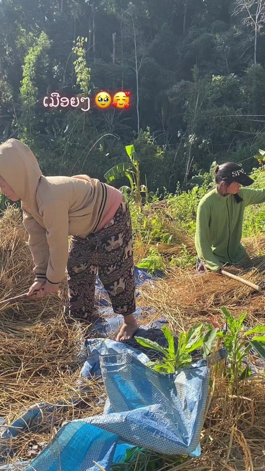 TikTok video thumbnail by .100.1k1