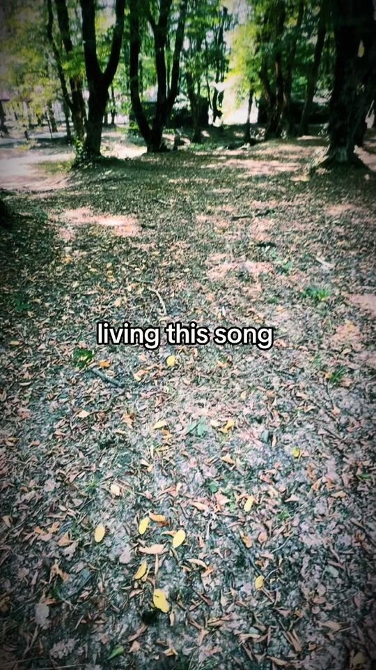 TikTok video thumbnail by wtappl
