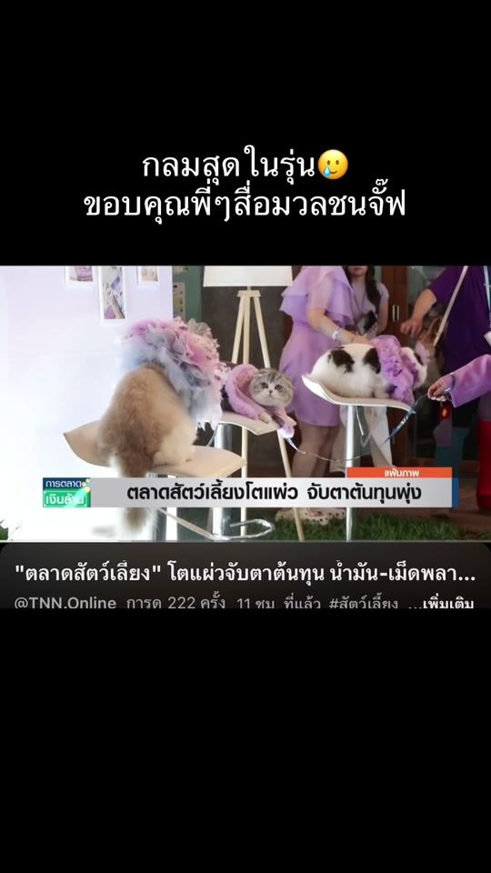 TikTok video thumbnail by bombie.cats