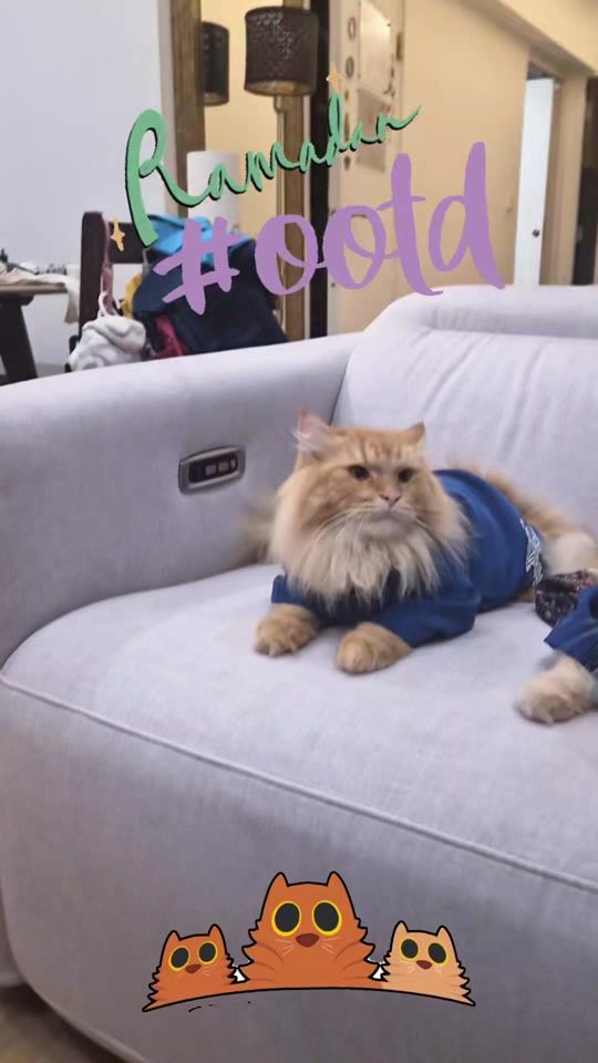 TikTok video thumbnail by gingercatloft