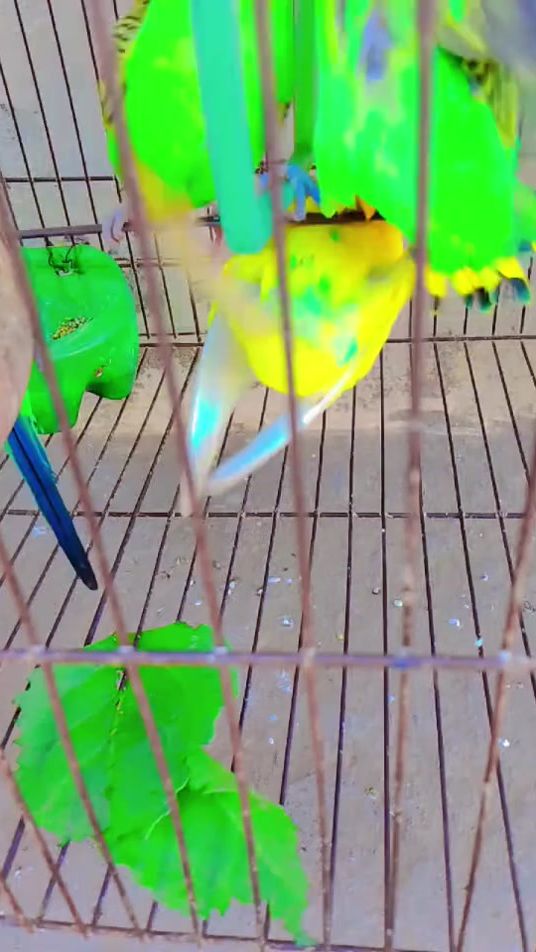 TikTok video thumbnail by user5537306780343
