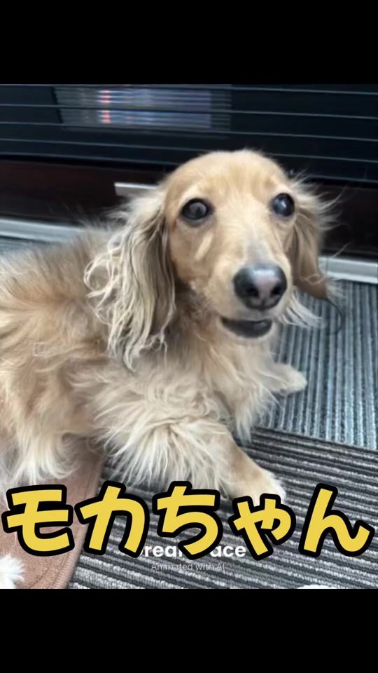 TikTok video thumbnail by mocharinmama