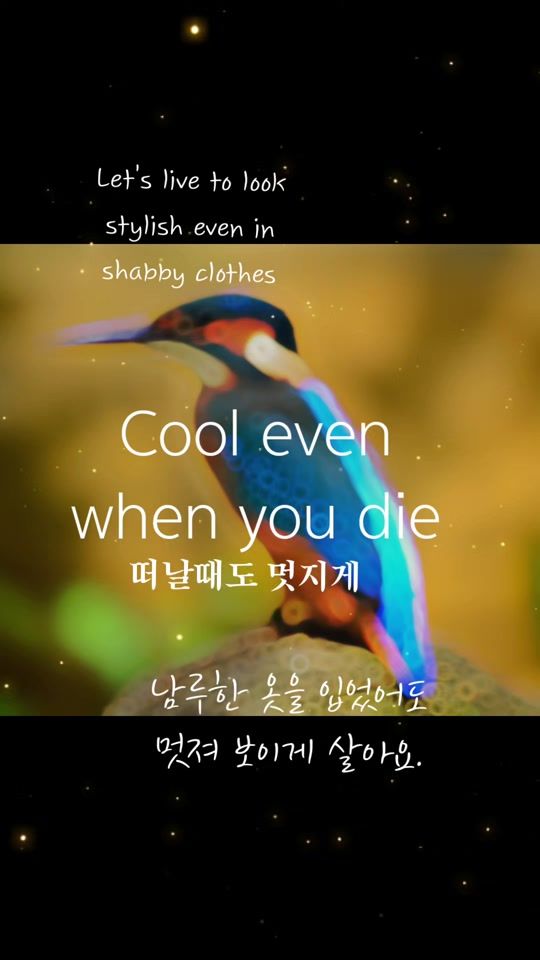 TikTok video thumbnail by 2c9fz