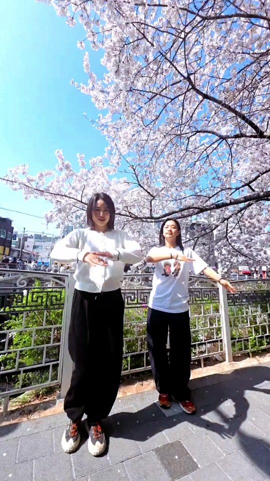 TikTok video thumbnail by dtp_hwaryeo