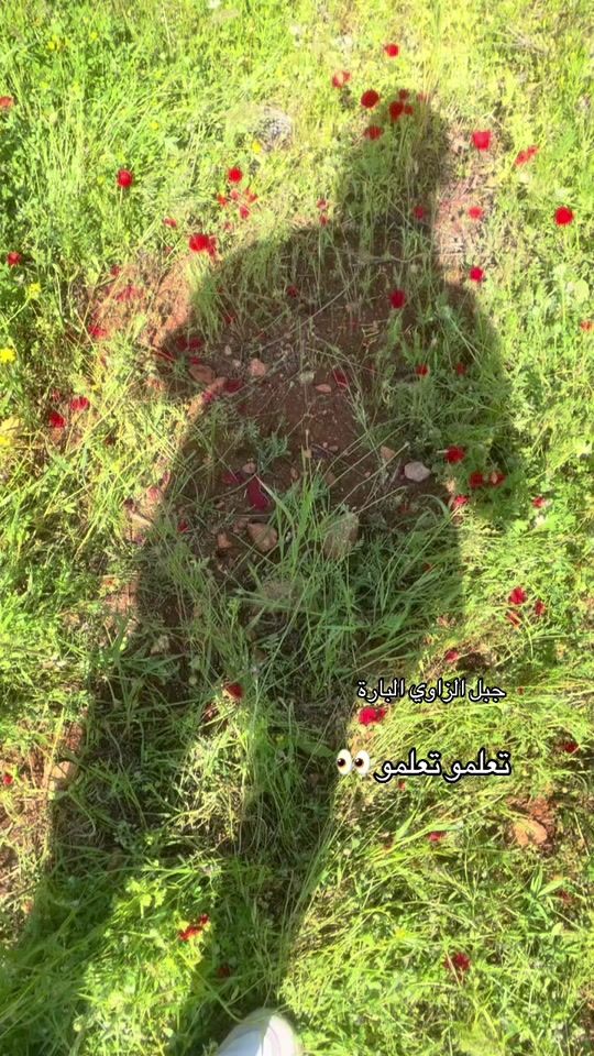 TikTok video thumbnail by shba_7