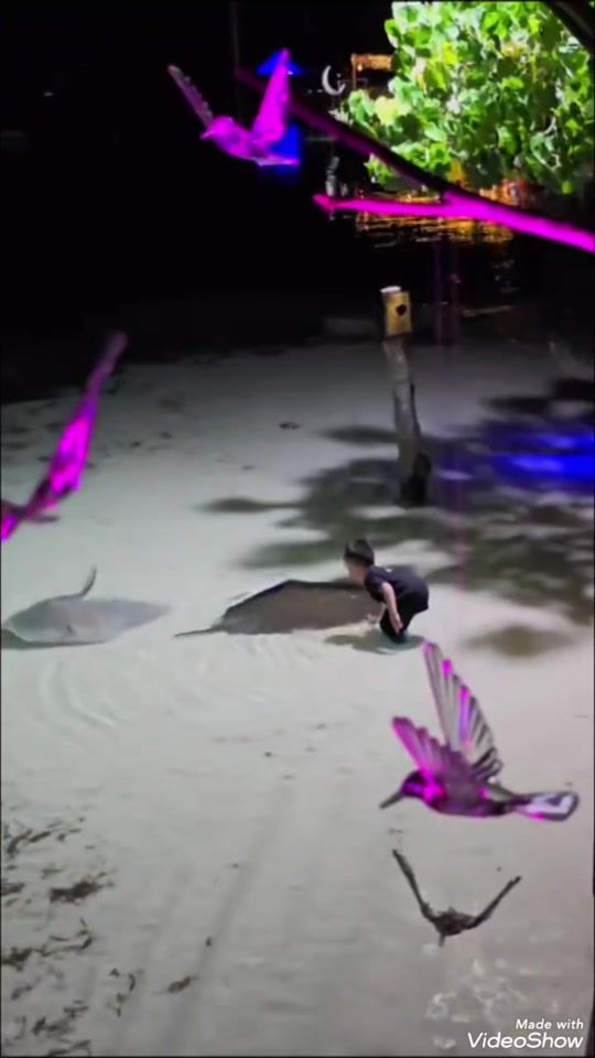 TikTok video thumbnail by yaxeeyazee