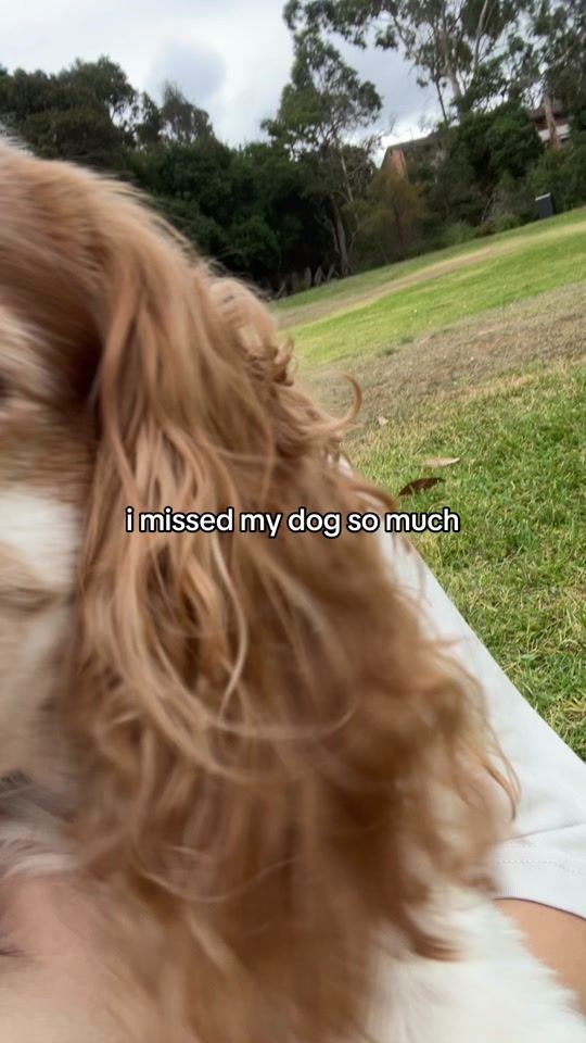 TikTok video thumbnail by hannahbahng