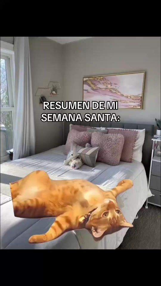 TikTok video thumbnail by camu.alave