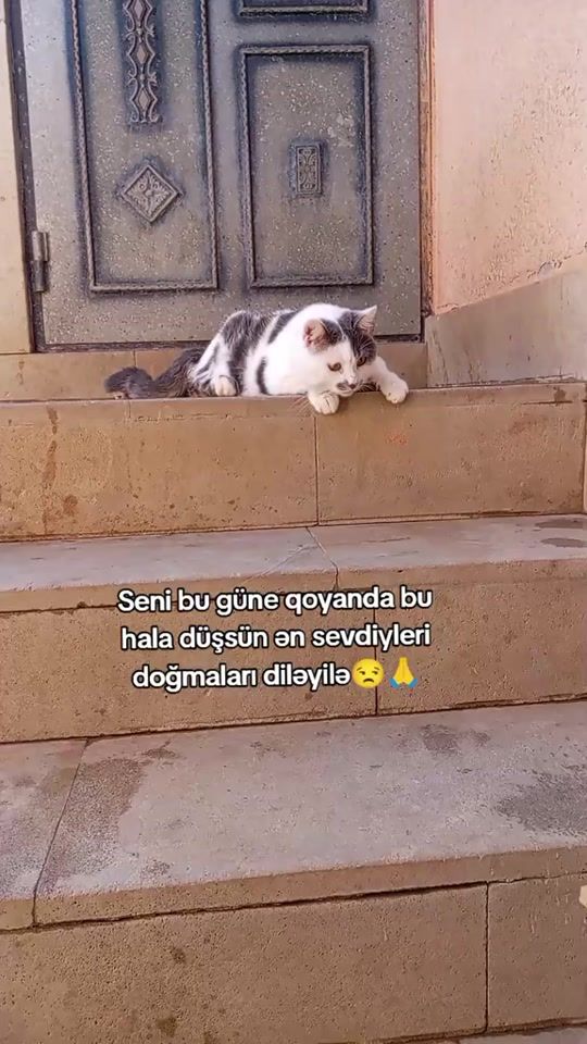 TikTok video thumbnail by onlarindostu