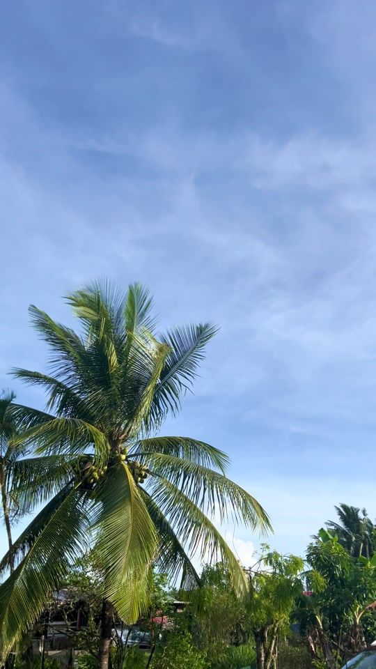TikTok video thumbnail by kaushik.fjx