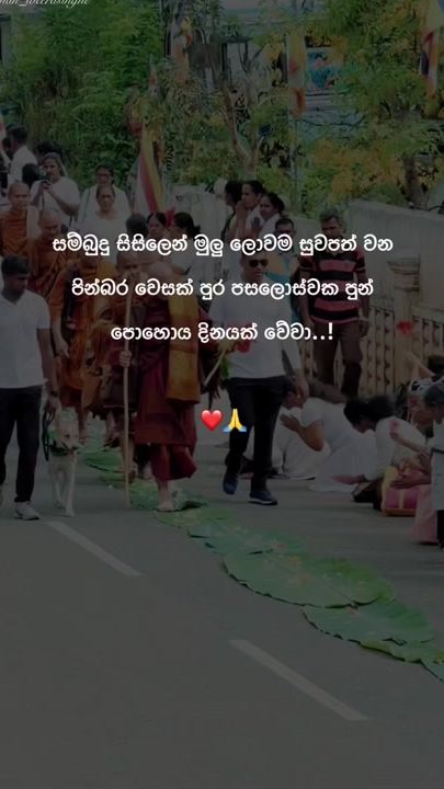 TikTok video thumbnail by shehan_weerasinghe