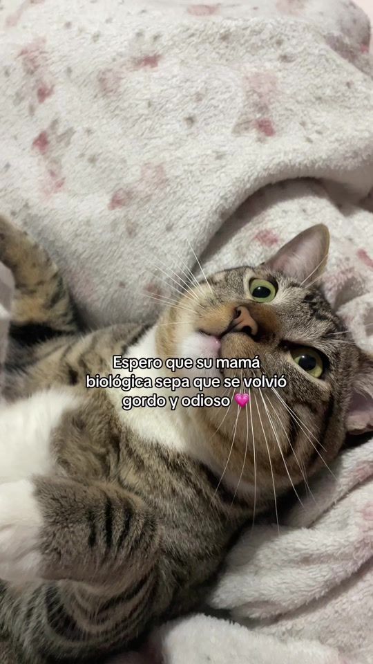 TikTok video thumbnail by ingrid_m20