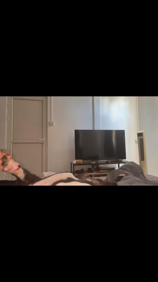 TikTok video thumbnail by tysonash02