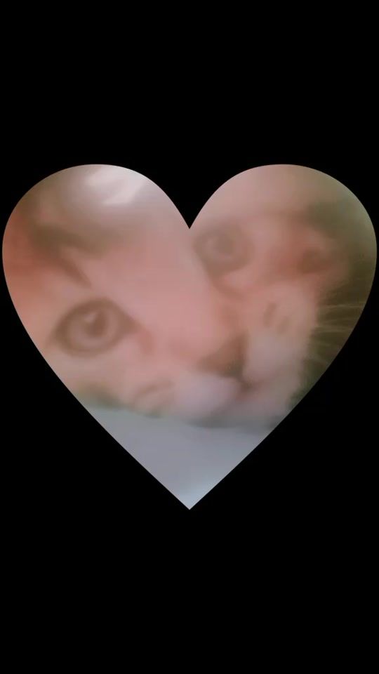 TikTok video thumbnail by terimot49265