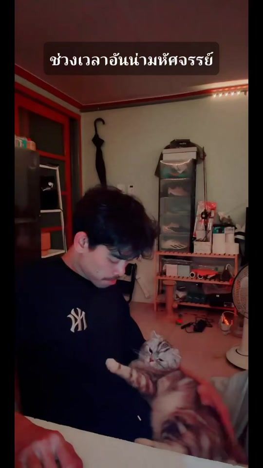 TikTok video thumbnail by mcmxcix_6