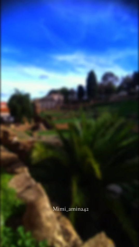 TikTok video thumbnail by mimi_amina42
