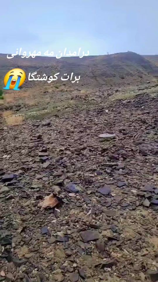 TikTok video thumbnail by vahid.baloch2780