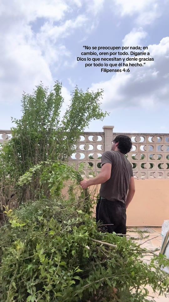 TikTok video thumbnail by thomrayder