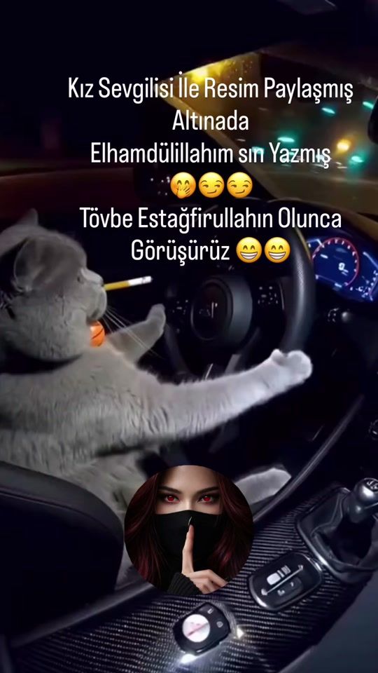 TikTok video thumbnail by ahu_leydi
