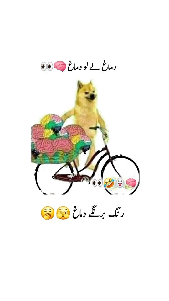 TikTok video thumbnail by smiley___here