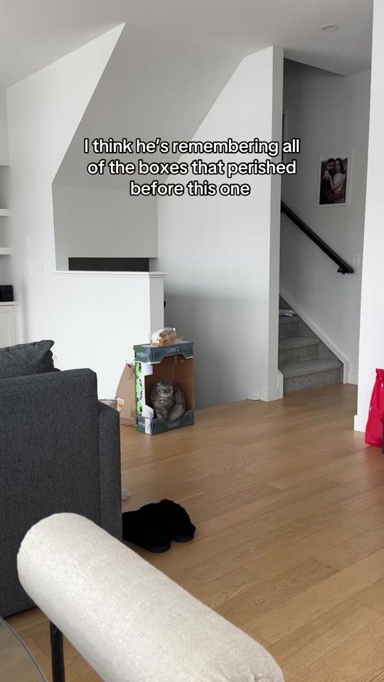TikTok video thumbnail by floydmeoweather
