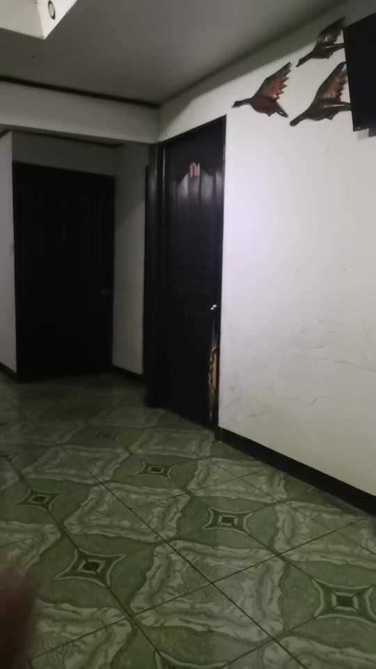 TikTok video thumbnail by darwing8043