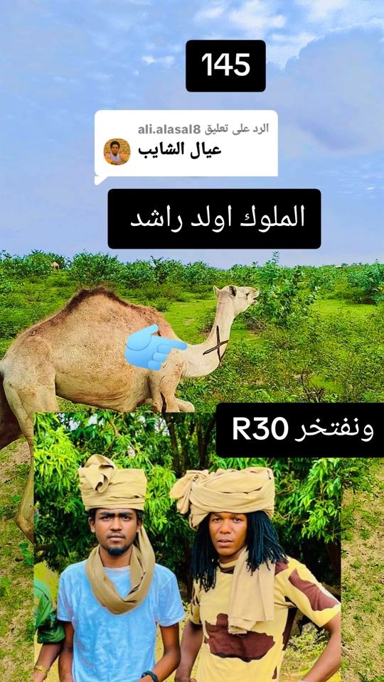 TikTok video thumbnail by .r30638