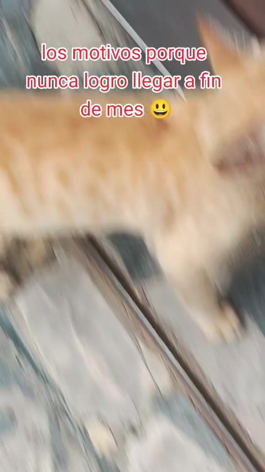 TikTok video thumbnail by tati.1000