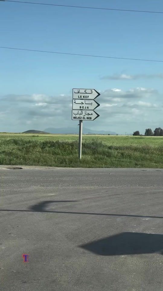 TikTok video thumbnail by weld_ghardimaou