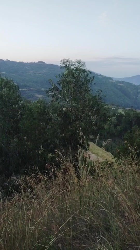 TikTok video thumbnail by tstrt6685