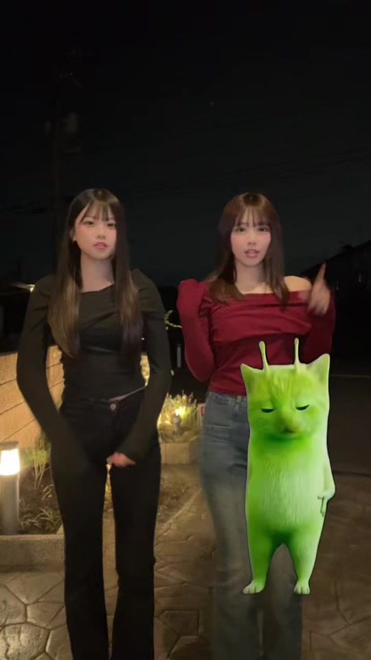 TikTok video thumbnail by renka_kitty