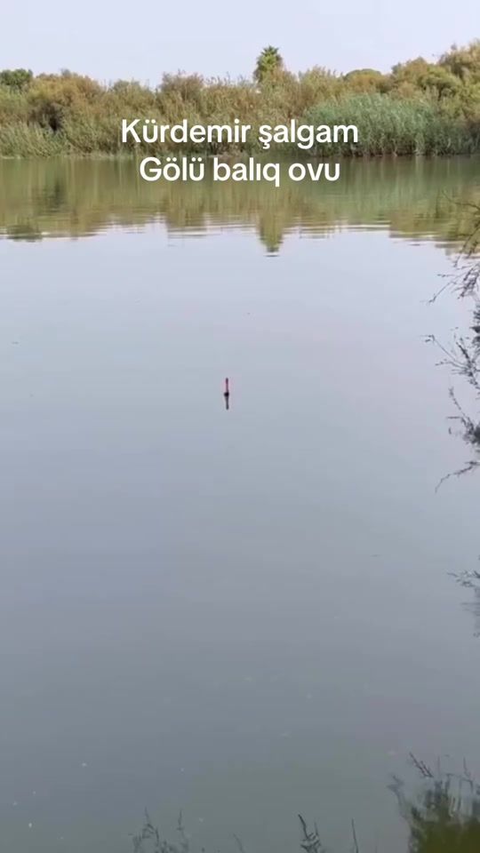 TikTok video thumbnail by tural_abi079