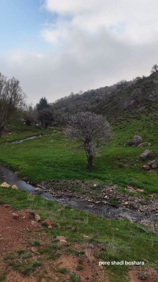 TikTok video thumbnail by pere_shadi_beshara
