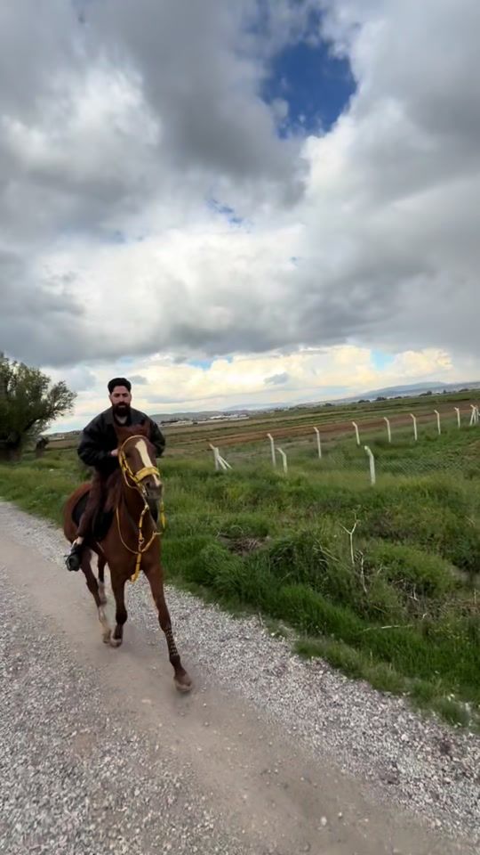 TikTok video thumbnail by abboud.alhamwi