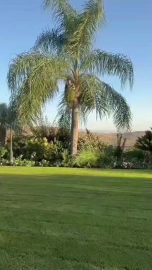 TikTok video thumbnail by amal.mhamad5