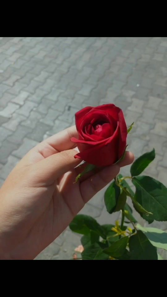 TikTok video thumbnail by umida_4_8_4