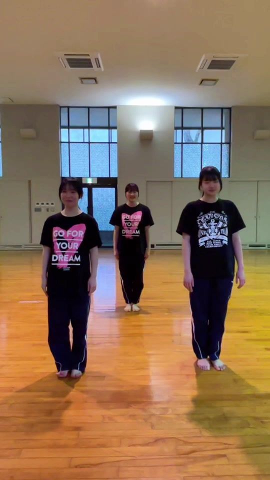 TikTok video thumbnail by luminous_meteor
