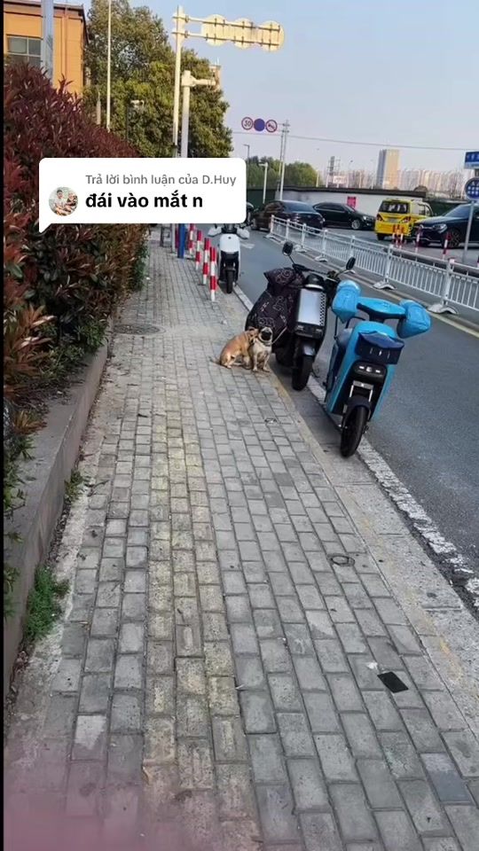 TikTok video thumbnail by bibui.1995